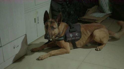 二狗子邻居爆料视频大全 第2张 二狗子邻居爆料视频大全 第2张